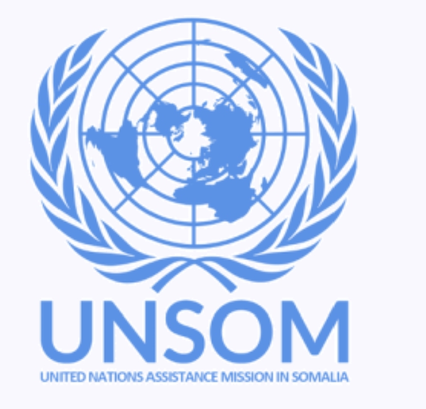 International Youth Day: 12 young Somalis driving change and progress