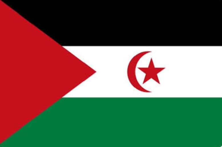 The Saharawi Struggle: A Fight for Decolonization and Statehood