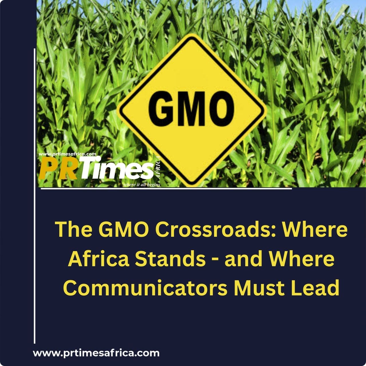 The GMO Crossroads: Where Africa Stands – and Where Communicators Must Lead
